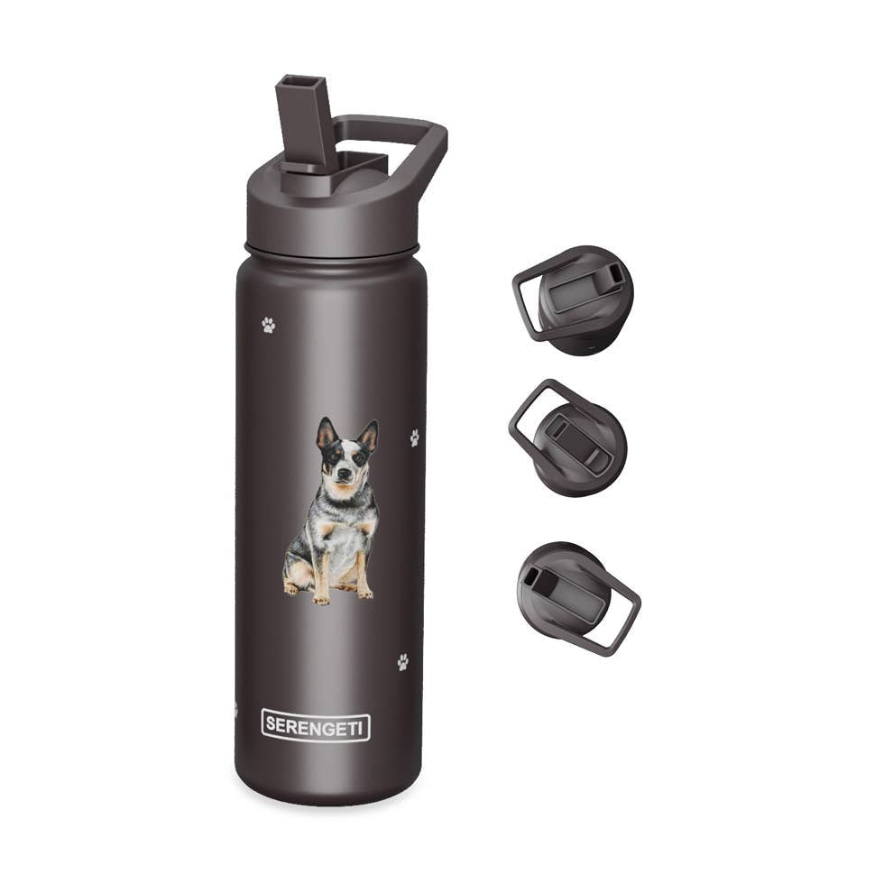 Australian Cattle Dog Drink Bottle The Tack House