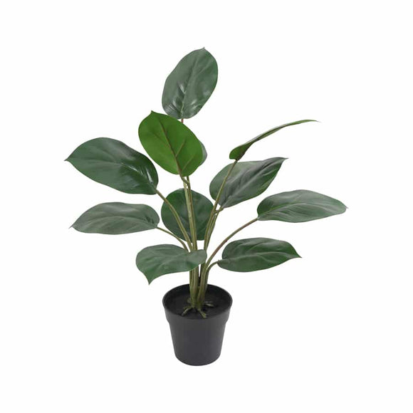 Artificial Potted Pothos - Small