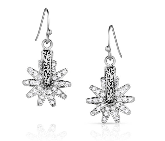 Montana Silversmiths Spur of the Moment Earrings ER5823