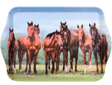 Beauty of Horses Pasture Scatter Tray