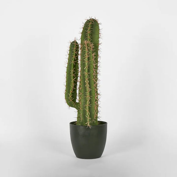 NEVADA DESERT CACTUS 69CM