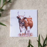 Ayrshire Cow - Greeting Card