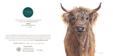‘Hamish’ Highland Cow - Greeting Card