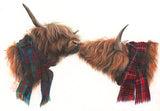 Highland Love (Greeting Card) | Highland Cow Card