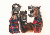 That's a Cracker! (Greeting Card) | Funny Horse Card