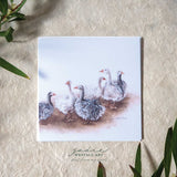‘Afternoon Gaggle’ Sebastapol Geese - Greeting Card