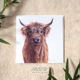 ‘Hamish’ Highland Cow - Greeting Card