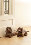 Novelty Dachshund Draught Excluder