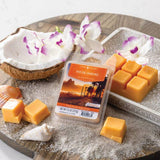 Rio de Janiero Classic Wax Melts 2.5oz