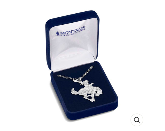 Cowgirl Spirit Necklace - NC5980