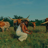 SKYLINE - Silverbelly