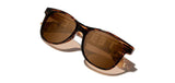 Pendleton Sunglasses - Gabe: Tortoise / Harding: Brown Polarized