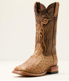 Ariat Men’s Rio Cowboy Boot - HONEY TAN FULL QUILL OSTRICH|CHESTNUT BROWN