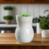 Frosted Farmhouse Illumination Warmer