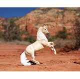 Breyer Traditional Cloud: 30th Anniversary Edition - Wild Stallion of the Rockies