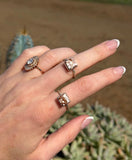 Vaquera Square Ring Wild Horse MBR20