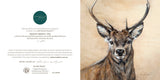 Stag 'Majestic Presence' - Greeting Card