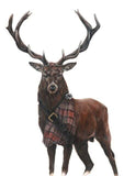 The Highlander (Stag with Outlander Tartan - Greeting Card)