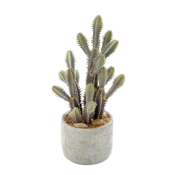 DESERT CACTUS SMALL 32CM