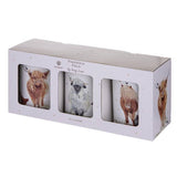 PADDOCK PALS 3PK CANISTER
523054