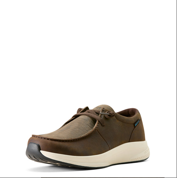 Ariat MEN'S BUCKEYE WATERPROOF SHOE - DARK BROWN/BROWN LIZARD PRINT