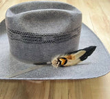 Feather Hat Accent - Ringtail
