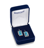 Summer Rain Turquoise Earrings - ER6550