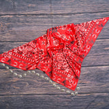 AVS839 WESTERN BANDABA PRINT SILK SCARF 36X36