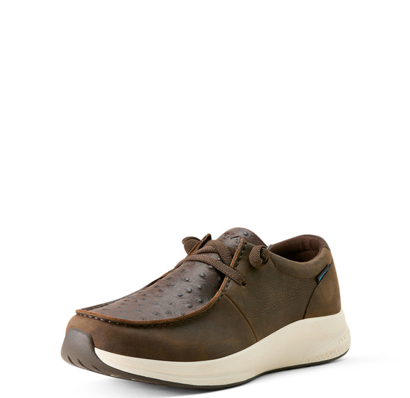 Ariat MEN'S BUCKEYE WATERPROOF SHOE - DARK CHOCOLATE/CHOCOLATE FULL QUILL OSTRICH PRINT