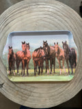 Beauty of Horses Pasture Scatter Tray