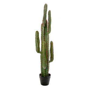DESERT CACTUS XL 1.15M (***Pick Up Only***)