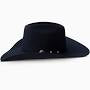 Resistol CJ The SP 6X Fur Felt Hat - Navy