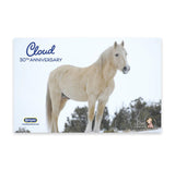 Breyer Traditional Cloud: 30th Anniversary Edition - Wild Stallion of the Rockies