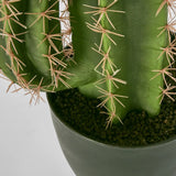 NEVADA DESERT CACTUS 69CM