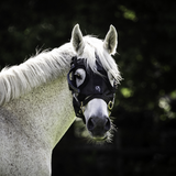Equilume Curragh Light Mask
