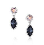 Stillwater Crystal Earrings - ER6617