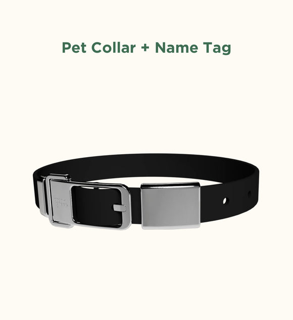 Frank Green Pet Collar + Name Tag - Midnight