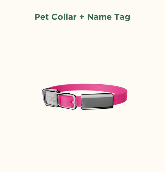 Frank Green Pet Collar + Name Tag - Neon Pink
