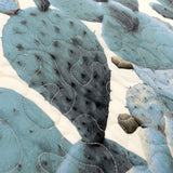 Cacti Quilt Collection