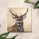 Stag 'Majestic Presence' - Greeting Card