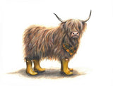 Welly Macleod (Greeting Card) | Highland Cow Card