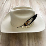 Feather Hat Accent - Ringtail