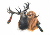 Stag Night (Greeting Card) | Highland Cow Card