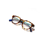 Pendleton Readers - Westerley: Tortoise / Pacific Wonderland: Tortoise - Pacific Wonderland