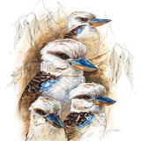 Kookaburra Study - Greeting Card