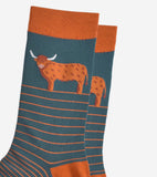 Men's Bamboo Socks - Teal/Orange, Highland Cow Stripe