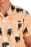 Cinch Mens Short Sleeve Bull Shirt