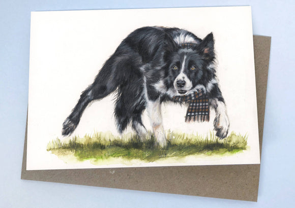 The Shepherd (Greeting Card) | Border Collie Card