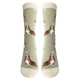 Basset Hound Socks