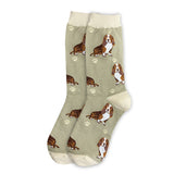 Basset Hound Socks
